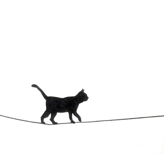 Understanding Your Cat's Behavior in the Litter Box